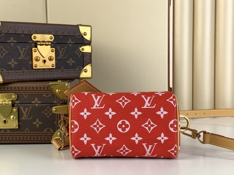 LV Speedy Bags